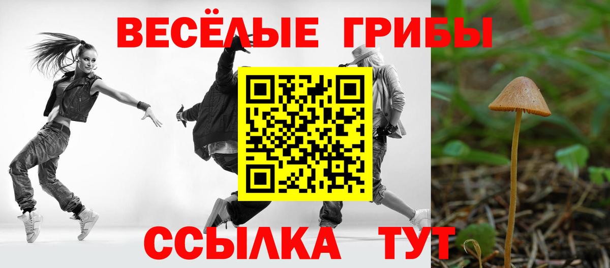 Галлюциногенные грибы Psilocybine cubensis Кудрово